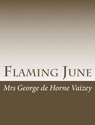 Kniha Flaming June Mrs George De Horne Vaizey