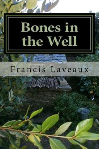 Könyv Bones in the Well Francis Laveaux