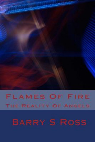 Könyv Flames Of Fire: The Reality Of Angels Barry S Ross