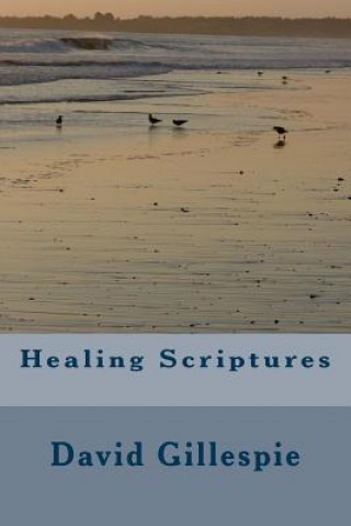 Boek Healing Scriptures MR David M Gillespie