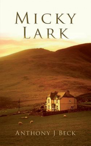 Book Micky Lark Anthony J Beck