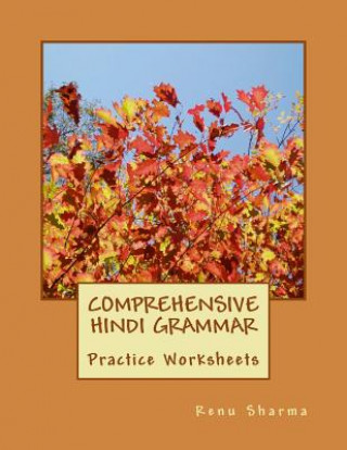 Carte Comprehensive Hindi Grammar: Practice Worksheets Renu Sharma