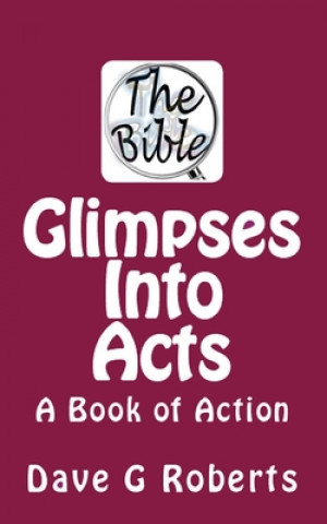 Kniha Glimpses Into Acts: A Book of Action Dave G Roberts