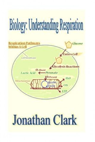 Knjiga Biology: Understanding Respiration MR Jonathan Clark