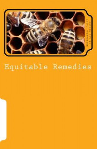 Carte Equitable Remedies: b029 Dr Eric Allen Engle LL M
