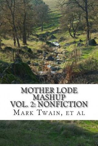 Kniha Mother Lode Mashup 2: Vol 2: Nonfiction T D Beasley