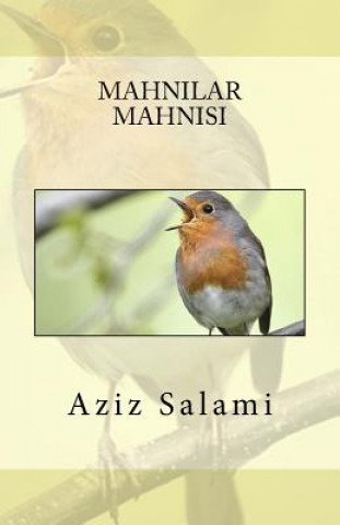 Könyv Mahnilar Mahnisi Aziz Salami