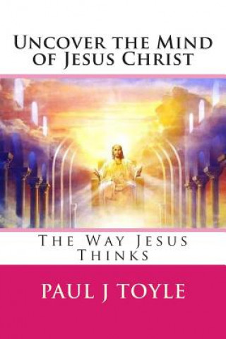 Kniha Uncovering Hapiness: The Way Jesus Thinks Paul J Toyle