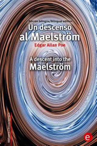 Boek Un descenso al Maelström/A descent into the Maelström: Edición bilingüe/Bilingual edition Edgar Allan Poe