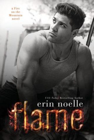 Kniha Flame Erin Noelle