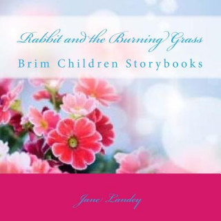 Książka Rabbit and the Burning Grass: Brim Children Storybooks Jane Landey