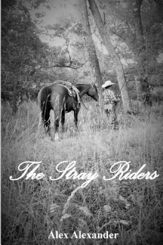 Buch The Stray Riders Alex Alexander