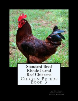 Carte Standard Bred Rhode Island Red Chickens D E Hale