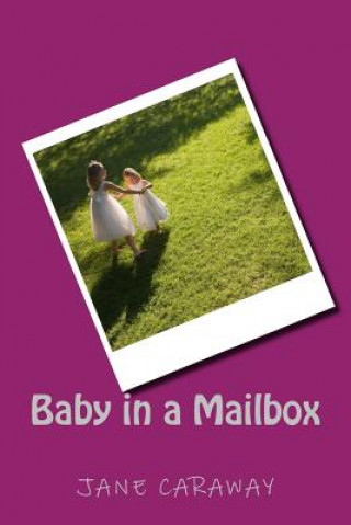 Kniha Baby in a Mailbox Jane Caraway