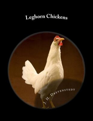 Knjiga Leghorn Chickens: Chicken Breeds Book 9 J H Drevenstedt