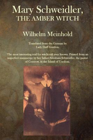 Könyv Mary Schweidler, The Amber Witch Wilhelm Meinhold