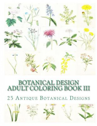 Könyv Botanical Design Adult Coloring Book III: 50 Antique Designs on Individual Single-Sided Pages Carol Elizabeth Mennig