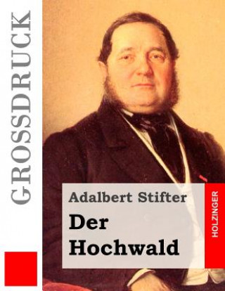 Könyv Der Hochwald (Großdruck) Adalbert Stifter