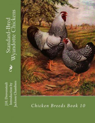 Carte Standard-Bred Wyandotte Chickens: Chicken Breeds Book 10 J H Drevenstedt