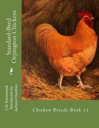 Könyv Standard-Bred Orpington Chickens: Chicken Breeds Book 11 J H Drevenstedt
