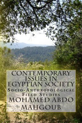 Kniha Contemporary Issues in Egyptian Society: Socio-Anthropological Field Studies Mohamed Abdo Mahgoub Prof