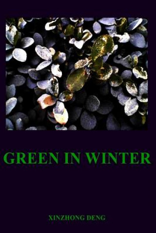 Knjiga Green In Winter MR Xinzhong Deng