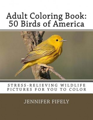 Könyv Adult Coloring Book: 50 Birds of America (Stress-relieving Wildlife Pictures for You to Color) Jennifer Fifely