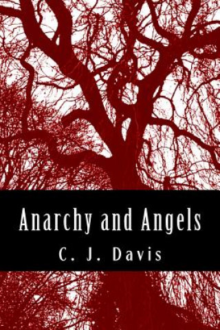 Kniha Anarchy and Angels Miss C J Davis