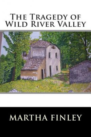 Kniha The Tragedy of Wild River Valley Martha Finley