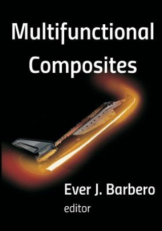 Buch Multifunctional Composites Ever J Barbero