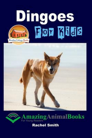 Kniha Dingoes For Kids Rachel Smith