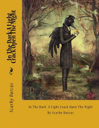 Könyv In The Dark A Light Crack Open The Night: By Scarby Darcus Robin L Loveless