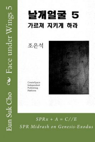Könyv Face Under Wings 5 Eun Suk Cho