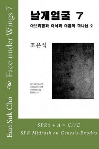 Kniha Face Under Wings 7 Eun Suk Cho