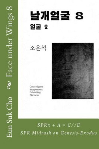 Carte Face Under Wings 8 Eun Suk Cho