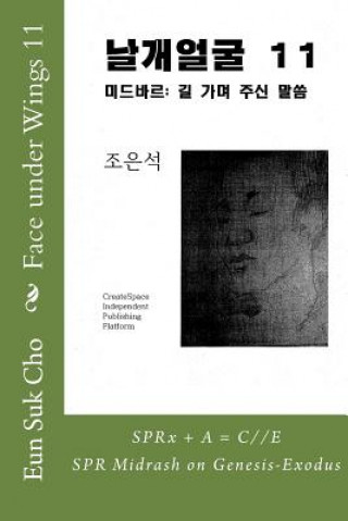 Kniha Face Under Wings 11 Eun Suk Cho
