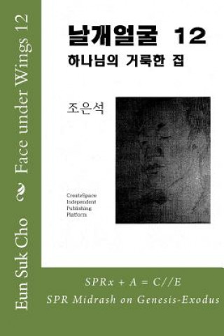 Kniha Face Under Wings 12 Eun Suk Cho