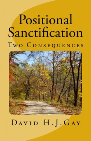 Knjiga Positional Sanctification: Two Consequences David H J Gay