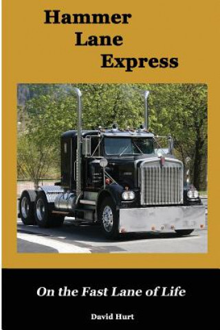 Книга Hammer Lane Express David B Hurt