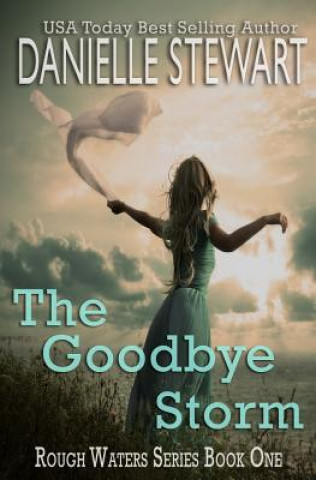 Kniha The Goodbye Storm Danielle Stewart