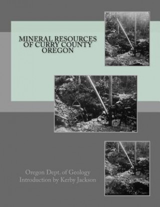 Kniha Mineral Resources of Curry County Oregon Oregon Dept of Geology