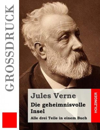 Kniha Die geheimnisvolle Insel (Großdruck): Alle drei Teile in einem Buch Jules Verne