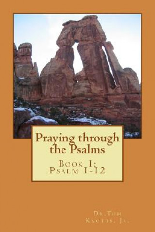 Kniha Praying through the Psalms: Book 1: Psalm 1-8 Dr Tom Knotts Jr