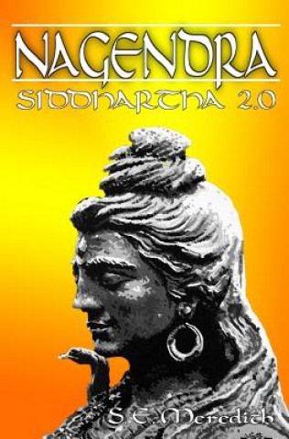 Buch Nagendra S E Meredith