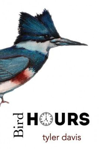 Kniha Bird Hours T J Davis