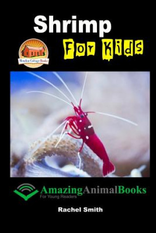 Kniha Shrimp For Kids Rachel Smith