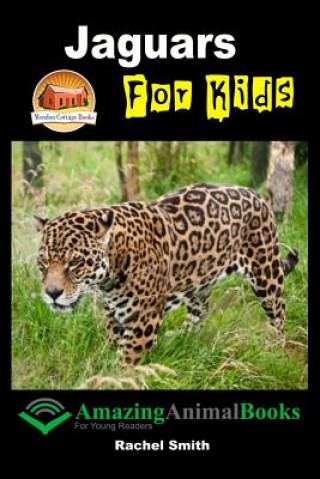 Carte Jaguars For Kids Rachel Smith