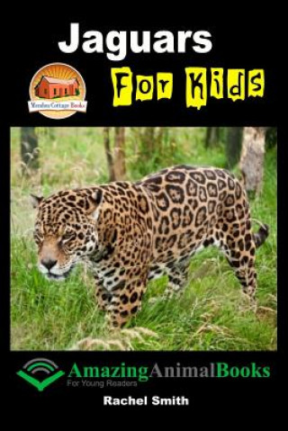 Buch Jaguars For Kids Rachel Smith