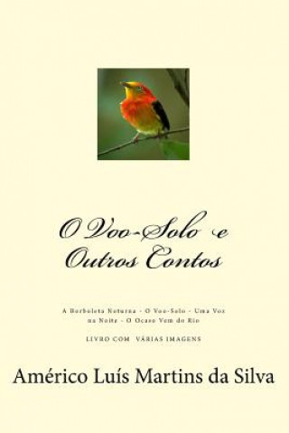 Buch O Voo-Solo e Outros Contos: A Borboleta Noturna - O Voo-Solo - Uma Voz na Noite - O Ocaso Vem do Rio Americo Luis Martins Da Silva