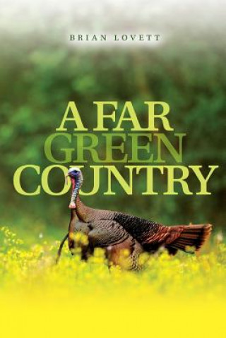 Kniha A Far Green Country Brian Lovett